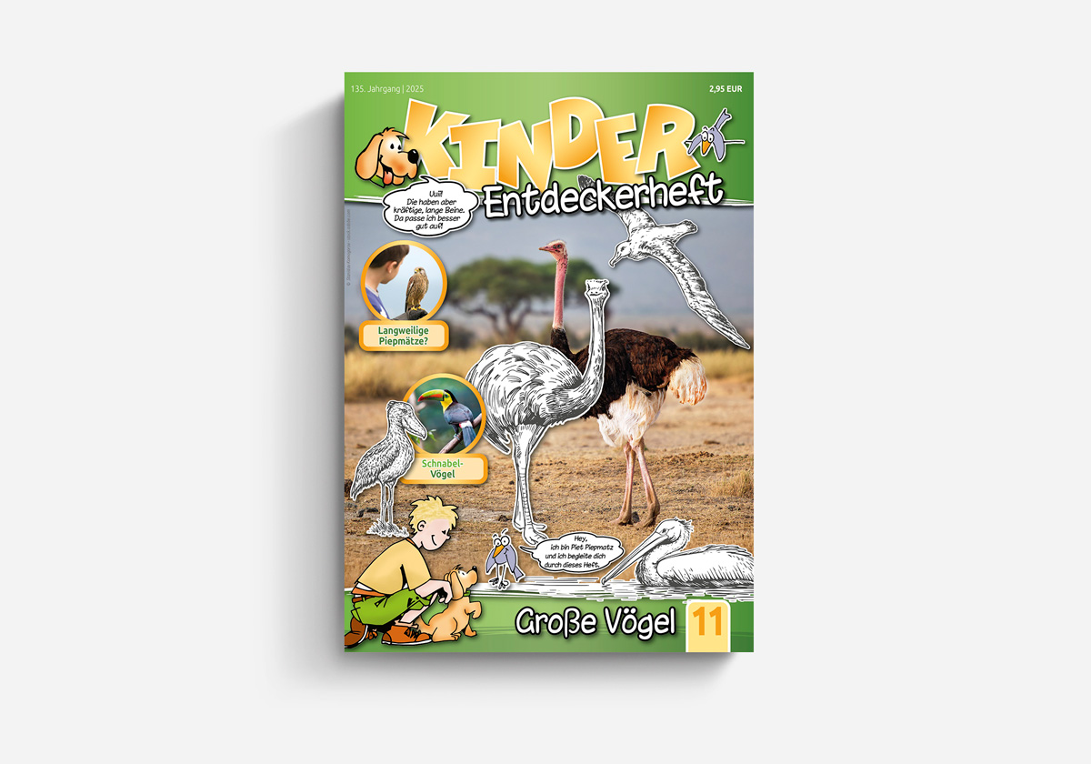 Kinder-Entdeckerheft Kindergottesdienst Sonntagsschule Gemeinde Kinderstunde Mitarbeiter Schulung CV Dillenburg Arbeitskreis Zeit für Kids