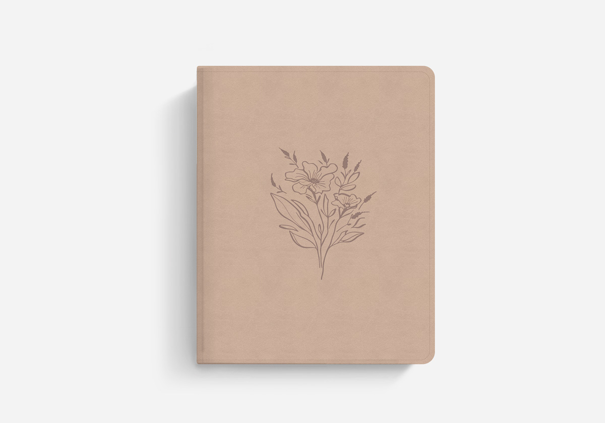 LIEBEZURBIBEL Schreibrandbibel Schlachter Blush Kunstleder Lachs
